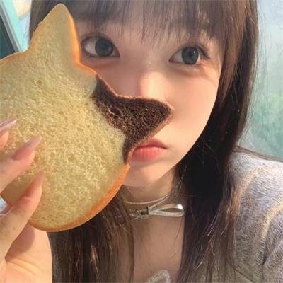 猪猪侠